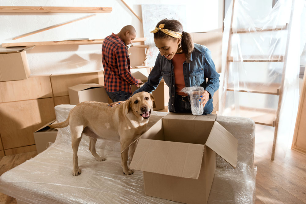 Couple moving into new home with dog