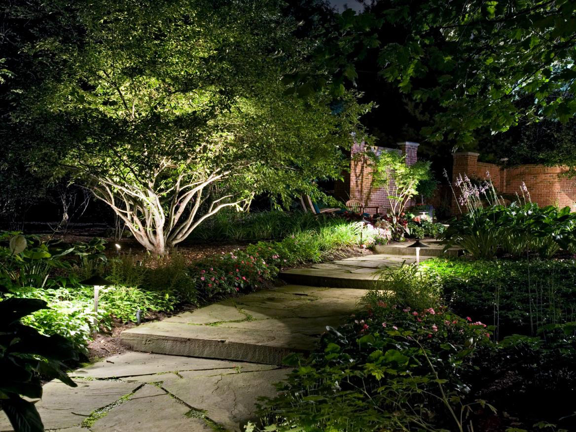 garden at night
